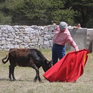 Meet your Posher, Jim